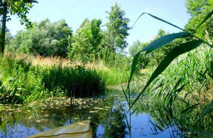 JANISCHs Fewo im Spreewald, Terrasse, großer Garten und Blick inklusive - Foto 16