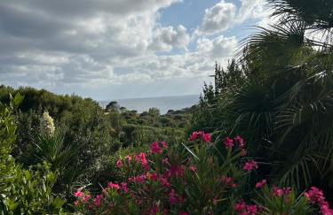 Baia del Corsaro - new sea panoramic villa in Sardinia, Italy - 250 mt beach&sea full comfort-WiFi-Parking-Privacy - Foto 34