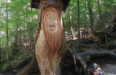 Panek, Haus - Foto 43