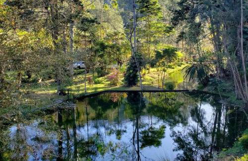 Friburgo Lagos p Pesca,Banho,Sauna,Campinho - Foto 45