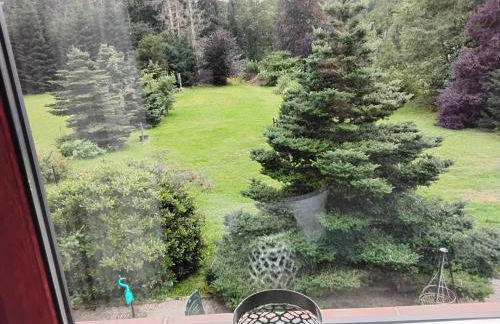 Hochwald Balkon - Foto 30