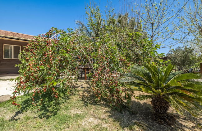 La Maison Hotel Çıralı - Foto 39