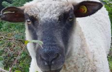 Odenwald Lounge im Naturpark Bergstraße-Odenwald - Photo 10