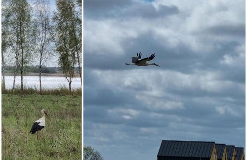 Zacisze Mazurskie - Foto 75