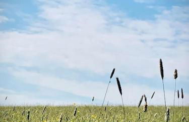 'The Studio' Designer, seaside cottage - Foto 57