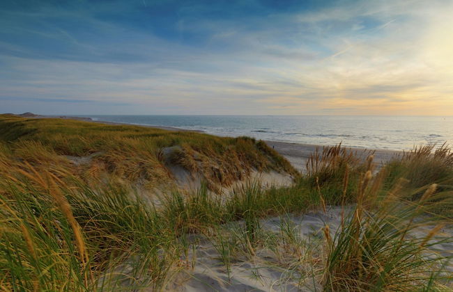Chalet in Zeeland With Sauna by the Water - Foto 30