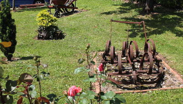 El Molin de Petra - Foto 5