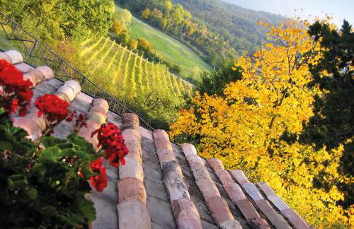 Agriturismo Borgo Ornina - Foto 16