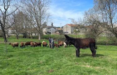 Chão do Rio - Turismo de Aldeia - Foto 34