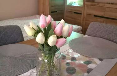 Przytulne M1 u podnóża gór - Foto 1