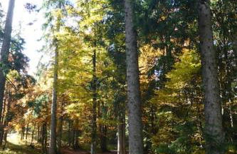 Ferienwohnung Schog - Foto 38