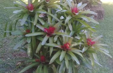 Santa Anna Ecohouse - Photo 25