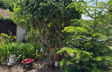 Ferienwohnung Odenwald Fernblick - Foto 24