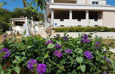 Villa Kaliope - Foto 44