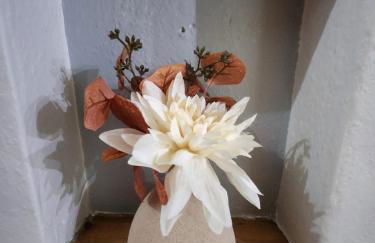 Quiet home Walk to ISU Jack Trice - Foto 71