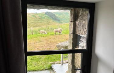 Wild boar barn - Foto 46