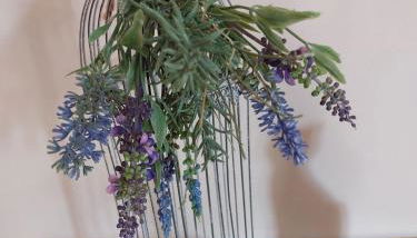 Fewo Dornröschen - Foto 4