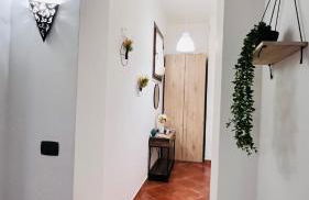 Kasa Magnisi - Foto 44