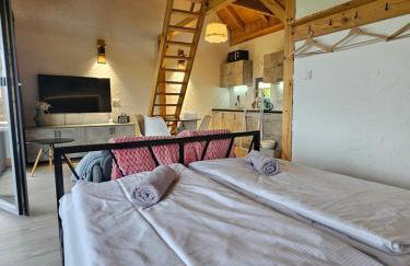 Widokowe Stodoły Bieszczady - domy z panoramą połonin - Foto 19