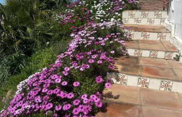 Villa Azafran - Photo 45