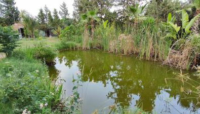 Villa Lago 2 - Photo 4