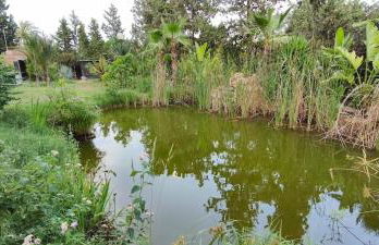 Villa Lago 2 - Photo 4