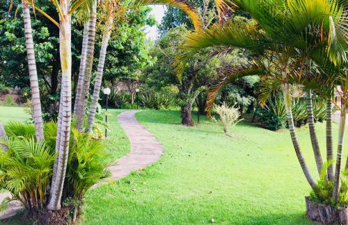 Florescer Vila - Foto 15