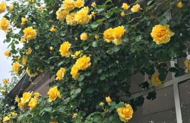 Villa Oleandra with Garden&Swimming pool - Foto 51