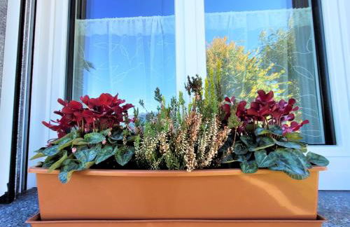 Casa Mina Mountain Lake Iseo Hospitality - Photo 24