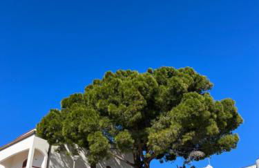 Belle vie luxury house - Photo 27