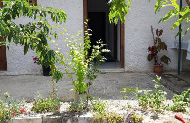 Apartments by the sea Cove Blaca, Mljet - 10416 - Photo 8