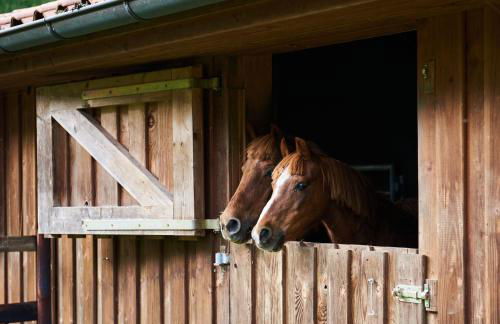 Ferienwohnung Smart am Park 35670 - Foto 9