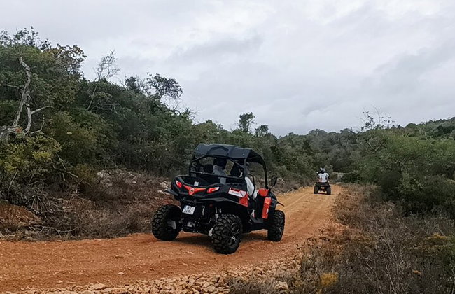 Albufeira Tour fuera de carretera de 3 horas Tour de aventura en buggy - Foto 14