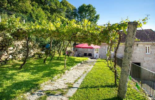 QUINTA do SOUTO BARCIADEMERA - Foto 9