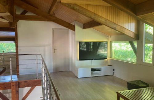 Gavial - Grande maison avec piscine - Foto 14