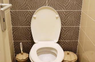 Gîte Ladeveze - Foto 71