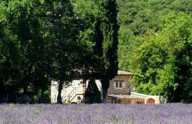 Moulin de charme - Photo 57