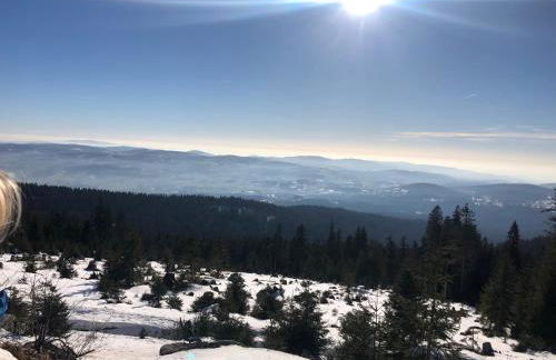 Panorama Bayerwald - Foto 26