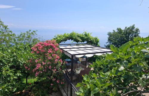 Apartments Blue & Green - Foto 11