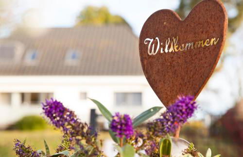 Toplage direkt an der Steilküste - FeWo 1 "Ostseenest" Hohwacht - Foto 3