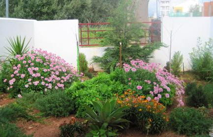 Spacious House Alandroal - Foto 16