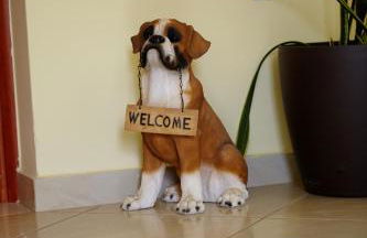 Porto Limnia - Foto 36