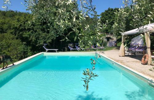 Ala di Maniero in Agriturismo Valdrago in Toscana, nel Verde Mugello sulle Colline di Firenze Autodromo Mugello Circuit - Foto 23