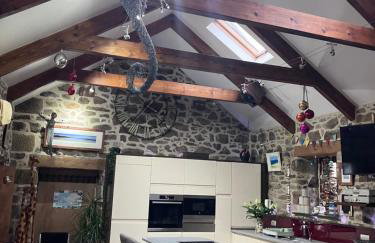 Anvil The Old Smithey - Foto 12