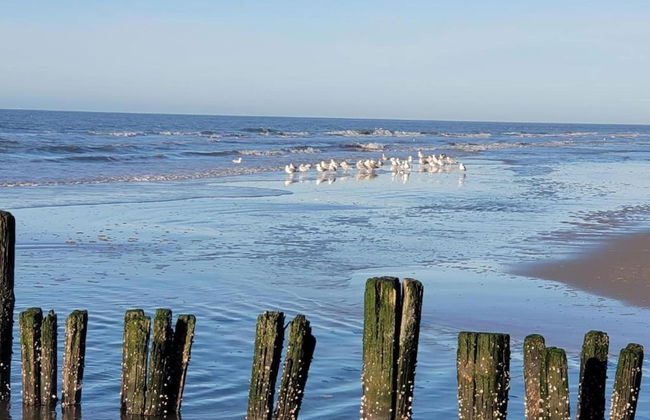 Timeless Charm and Cozy Stay - Photo 36