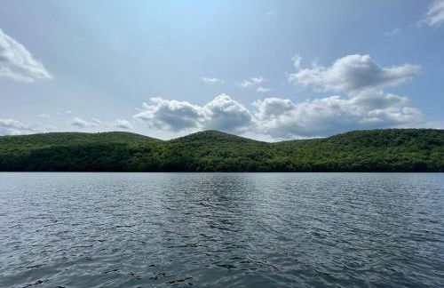 Brown House, Lake, Boat Dock, King Bed, Grill - Foto 24