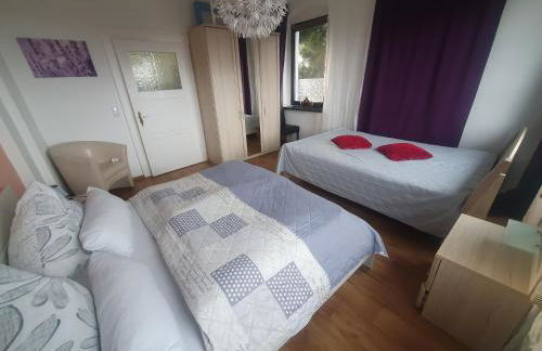 Familienfreundliche Ferienwohnung Erzgebirge - Foto 11