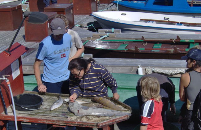 Sotra Rorbusenter - Foto 66