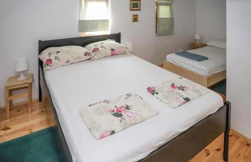 Beautiful Home In Mali Vrh Kamanjski - Foto 16