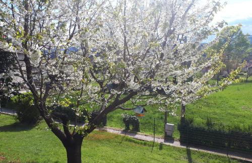 Casa Bartula - Foto 16